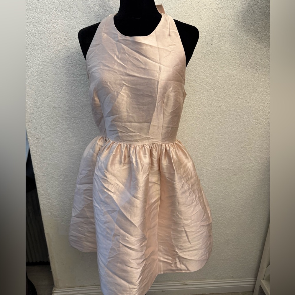 Kate Spade Blush Pink Dress